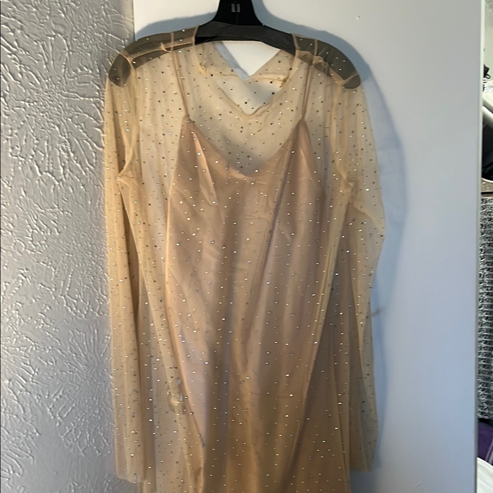 Elegant Sheer Gold Dress